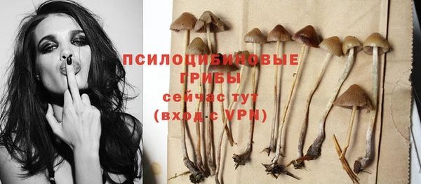 винт Арсеньев