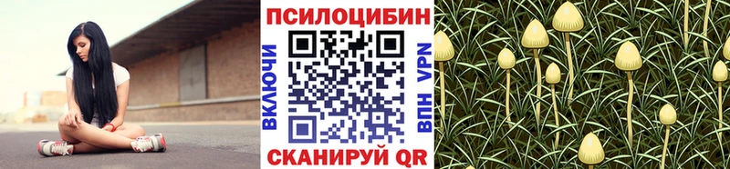 кракен как войти  Таруса  Псилоцибиновые грибы Psilocybe 